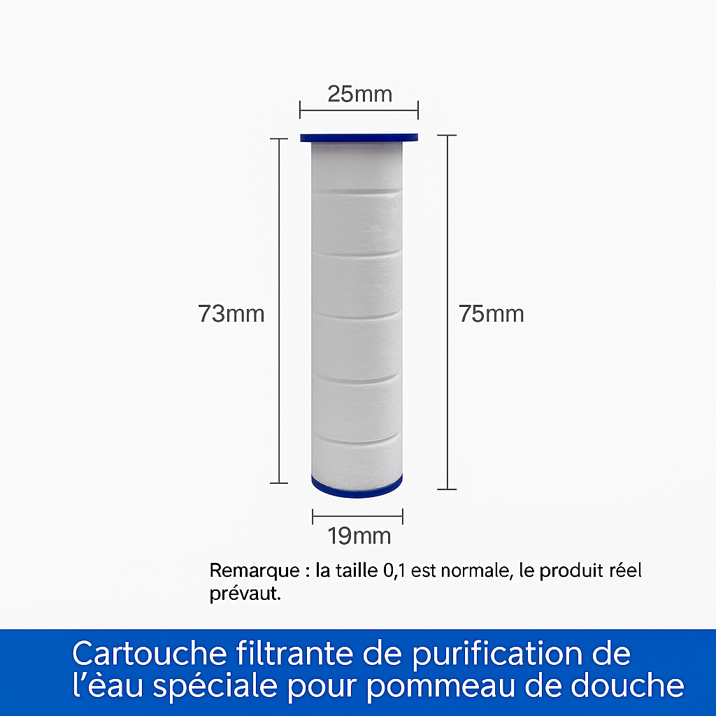 Pommeau de Douche Haute Pression–DoucheVitalité