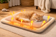 🐱Tapis Auto-Chauffant pour Chat