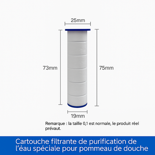 Pommeau de Douche Haute Pression–DoucheVitalité